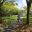 Singapore Botanic Gardens Bandstand