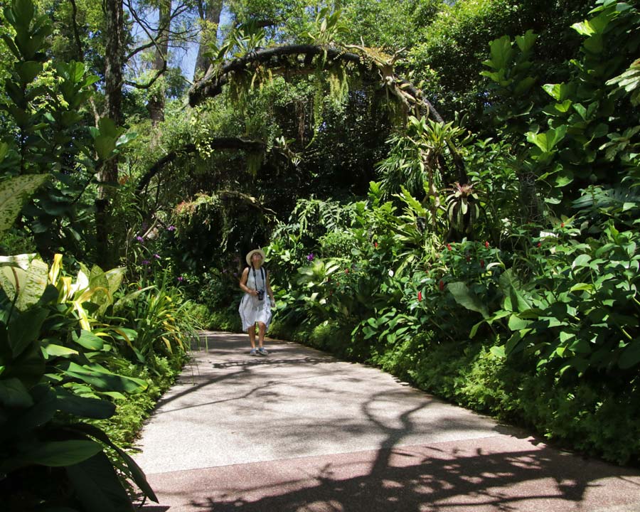 Singapore Botanic Gardens - very lush