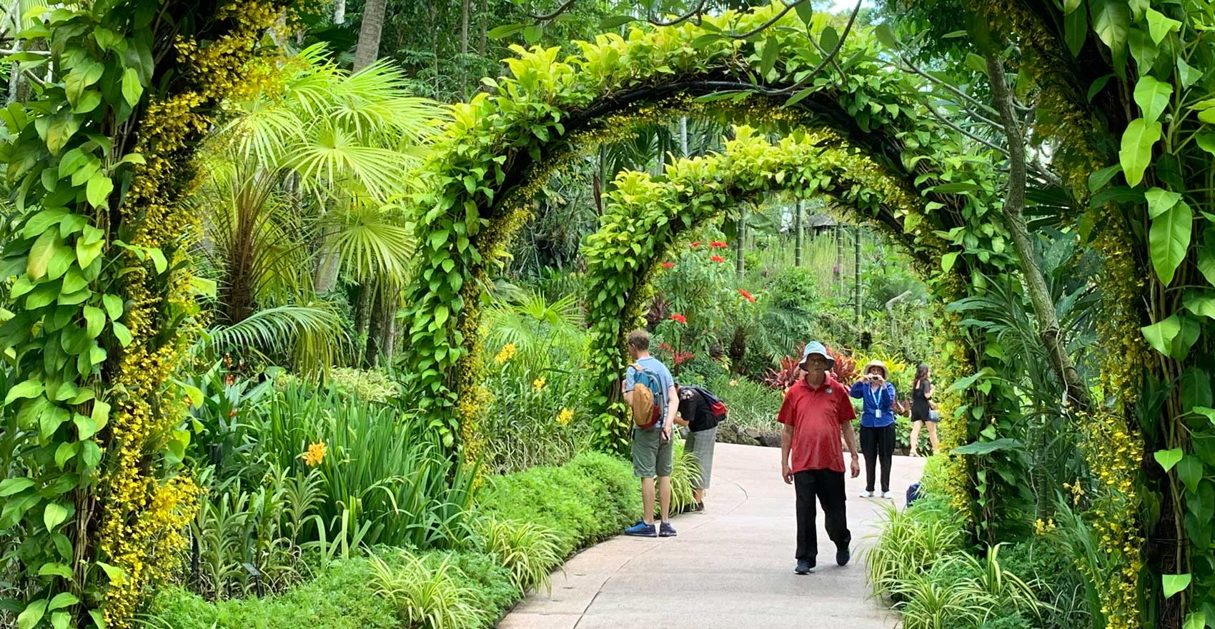 Singapore Botanic Gardens Orchid Garden