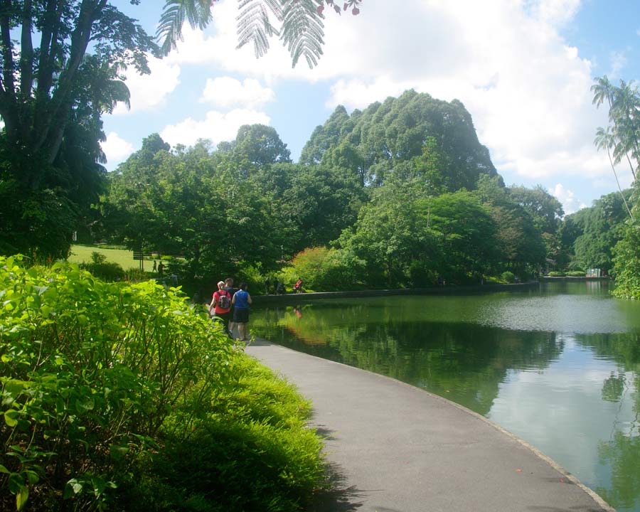 Singapore Botanic Gardens - Swan Lake