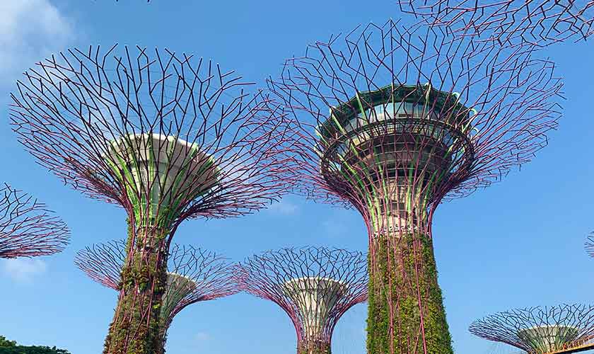 Gardens by the Bay - Singapore