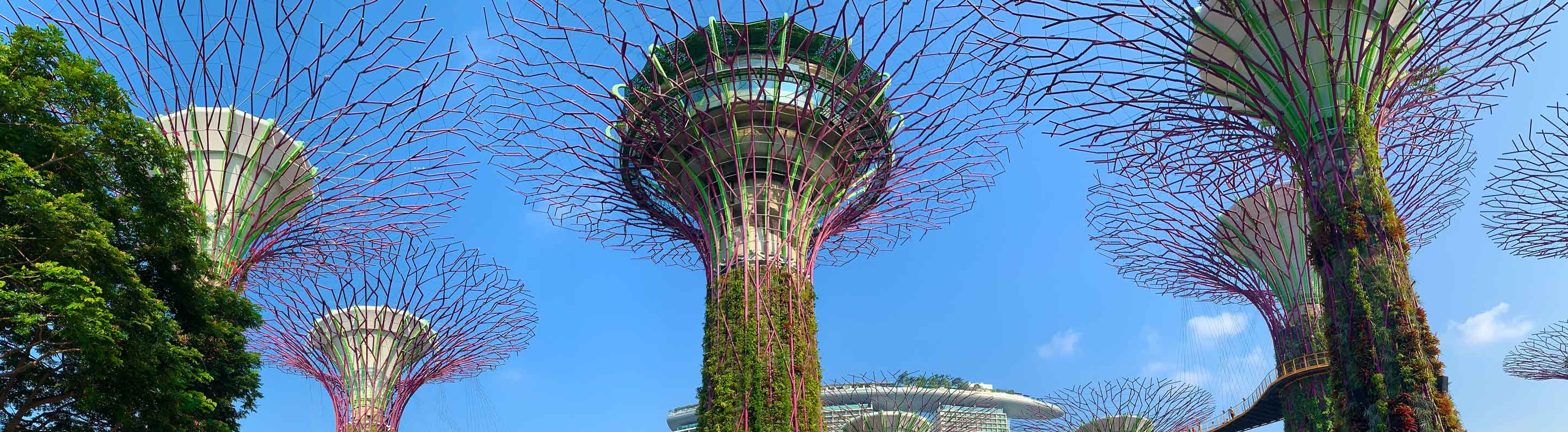 Gardens by the Bay - Singapore