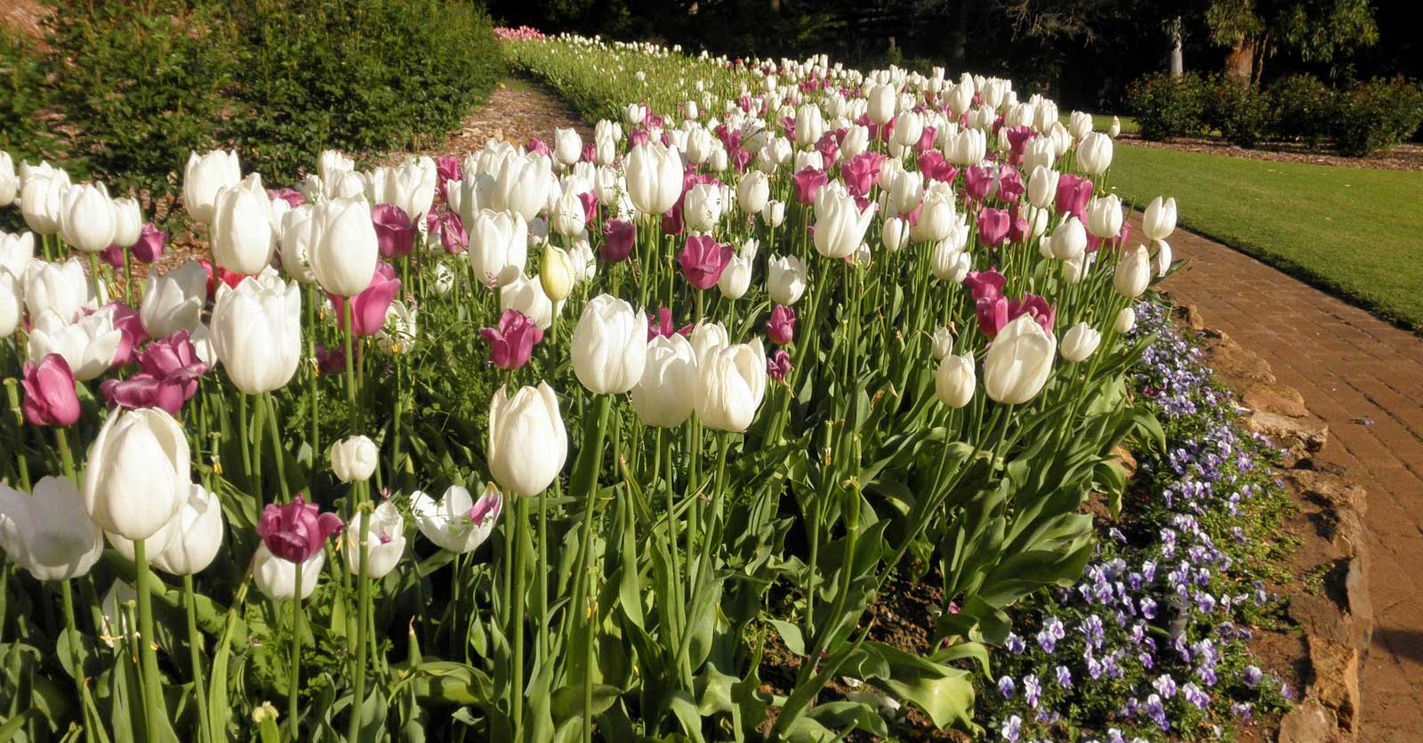 Araluen Botanic Park