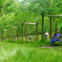 Alnwick Garden - Cherry Orchard Swings