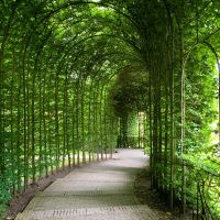 Alnwick Garden