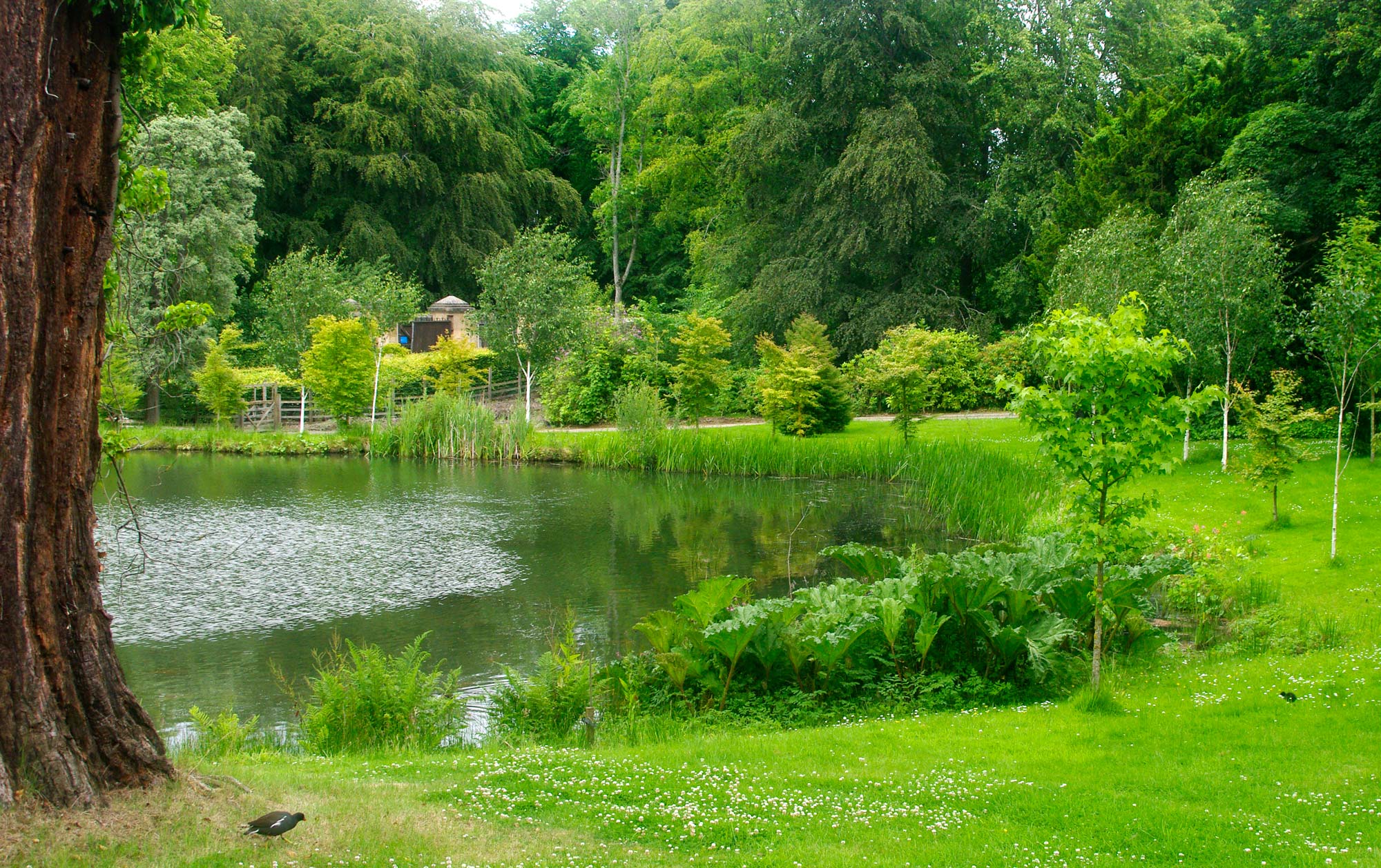 Alnwick Garden - Lake