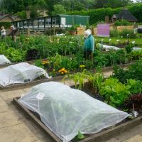 Alnwick Garden - Roots and Shoots Community Garden