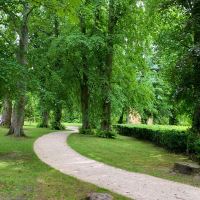 Alnwick Garden - lovely woodland walks