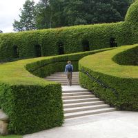 Alnwick Garden