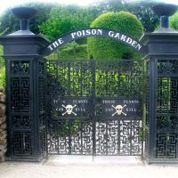 Alnwick Garden - Poison Garden Gates