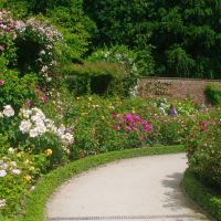 Alnwick Garden