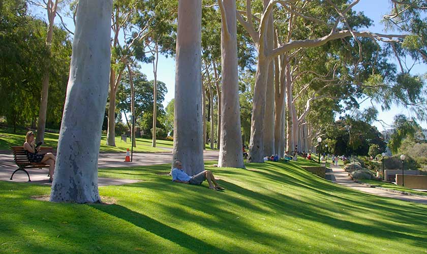 Kings Park and Botanic Gardens