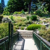 Dunedin Botanic Garden