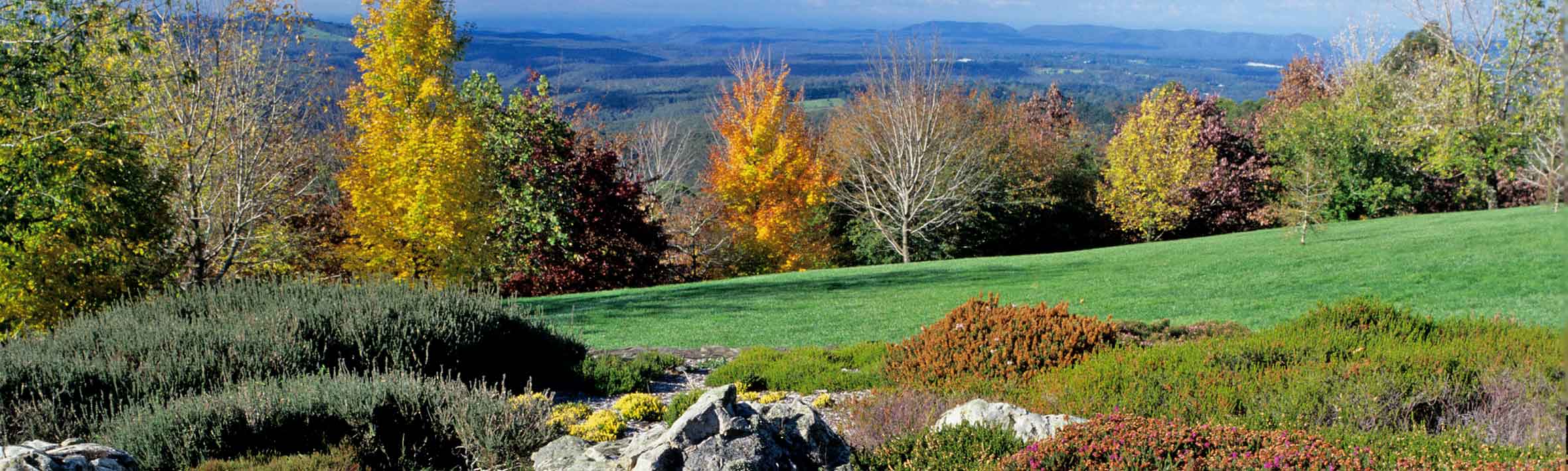 Blue Mountains Botanic Garden Mount Tomah