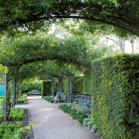 Blue Mountains Botanic Garden Mount Tomah