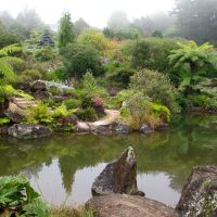 Blue Mountains Botanic Garden Mount Tomah