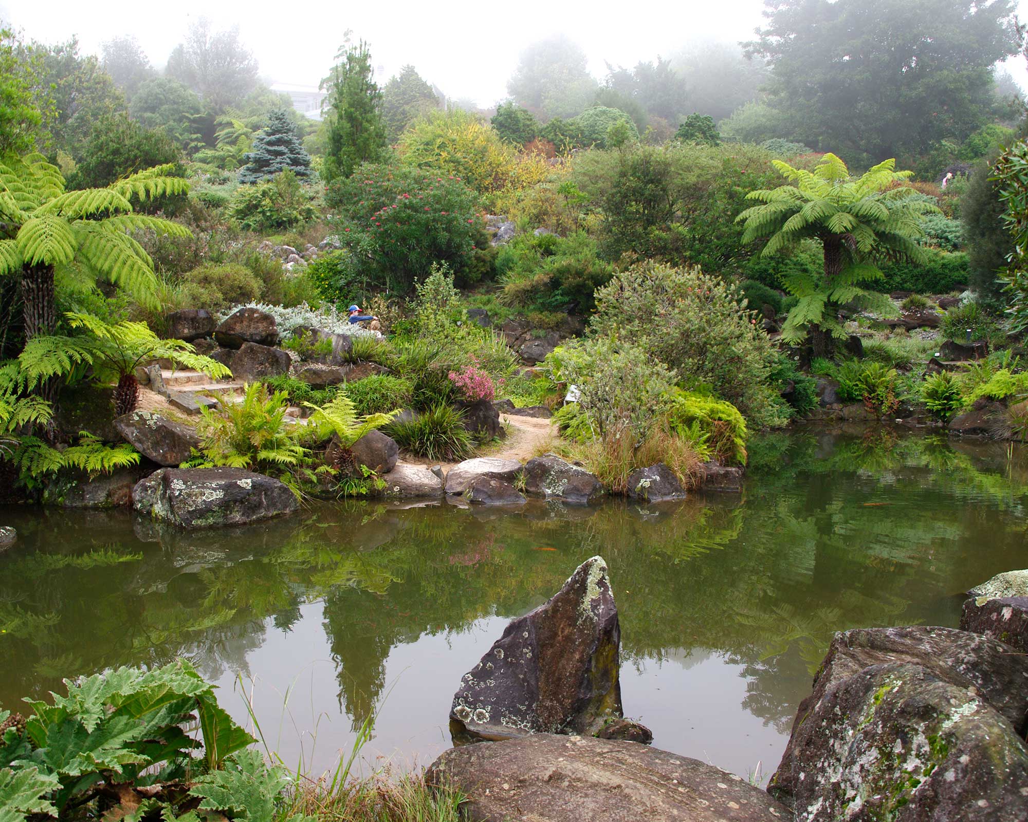 Blue Mountains Botanic Garden Mount Tomah