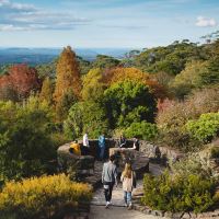 Blue Mountains Botanic Garden Mount Tomah