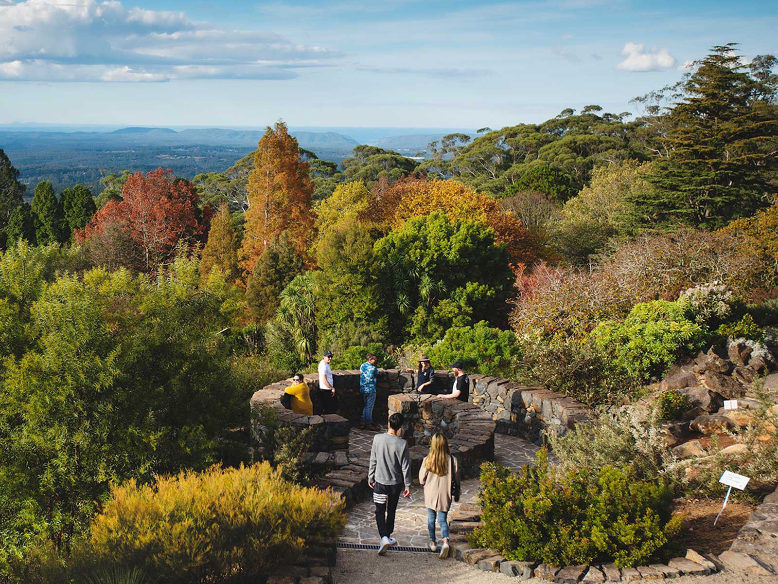 Blue Mountains Botanic Garden Mount Tomah