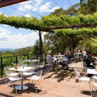 Blue Mountains Botanic Garden Mount Tomah