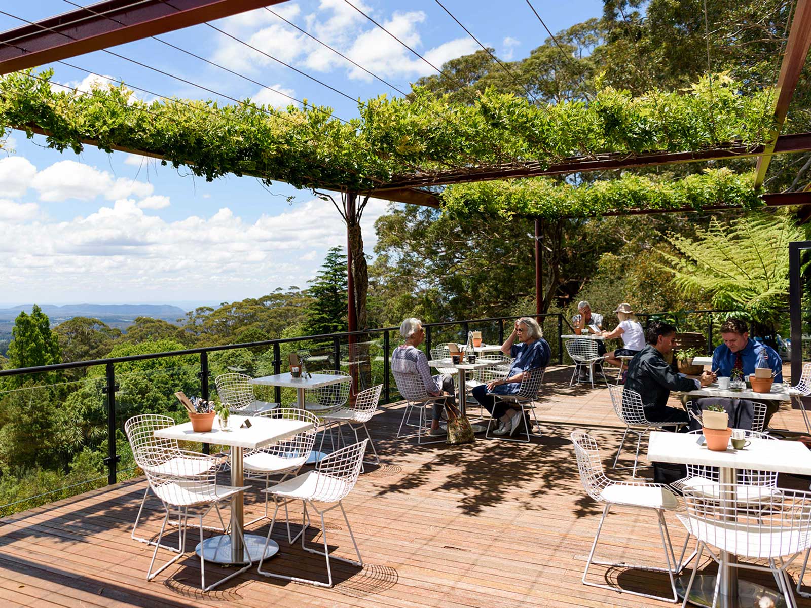 Blue Mountains Botanic Garden Mount Tomah