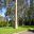 Enjoy a picnic under tall Eucalyptus - Blue Mountains Botanic Garden Mount Tomah