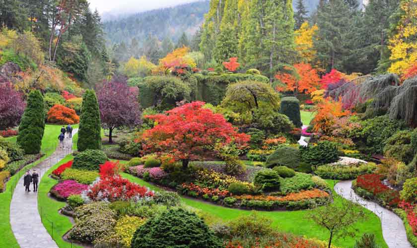 Butchart Gardens