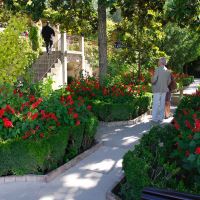 Alhambra - The Generalife