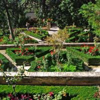 Alhambra - The Generalife - Parterre Flower Beds