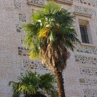 Alhambra - The Generalife