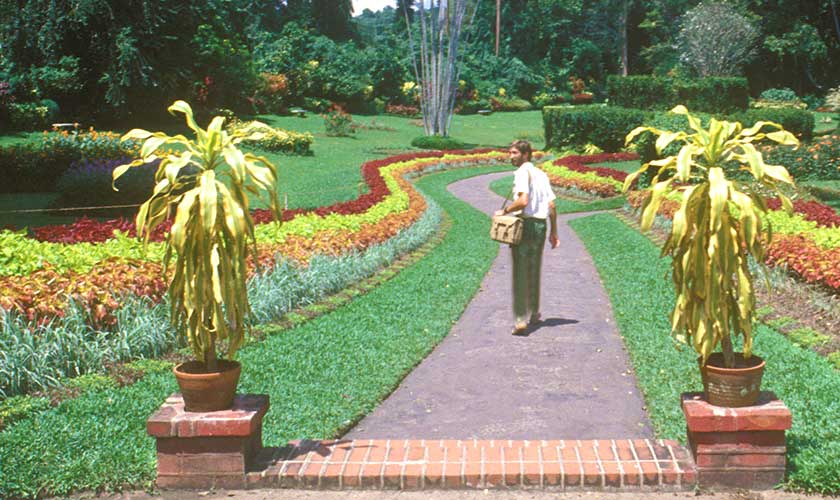 Peradeniya (Kandy) Royal Botanic Gardens