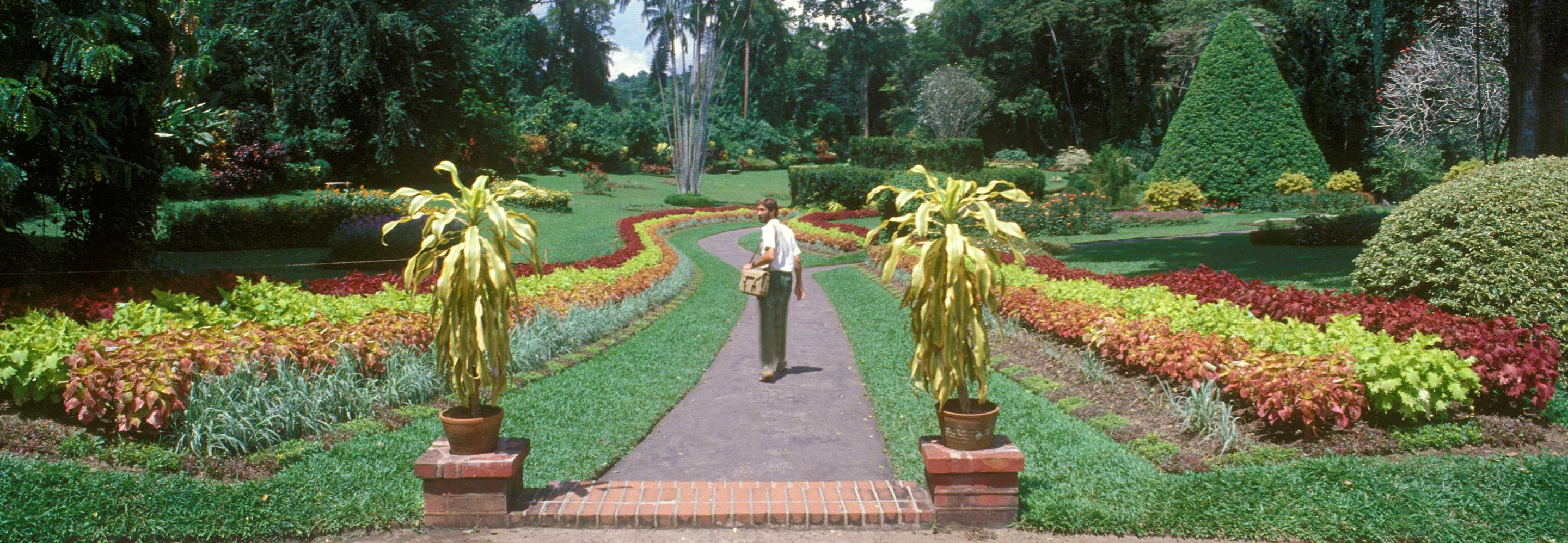 Peradeniya (Kandy) Royal Botanic Gardens