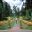 Mature gardens with sweeping lines and towering trees - Royal Botanic Gardens Peradeniya