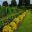 Kitchen Garden at Kew