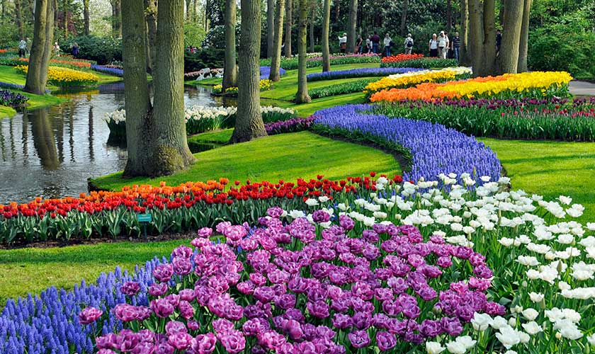 Keukenhof Gardens