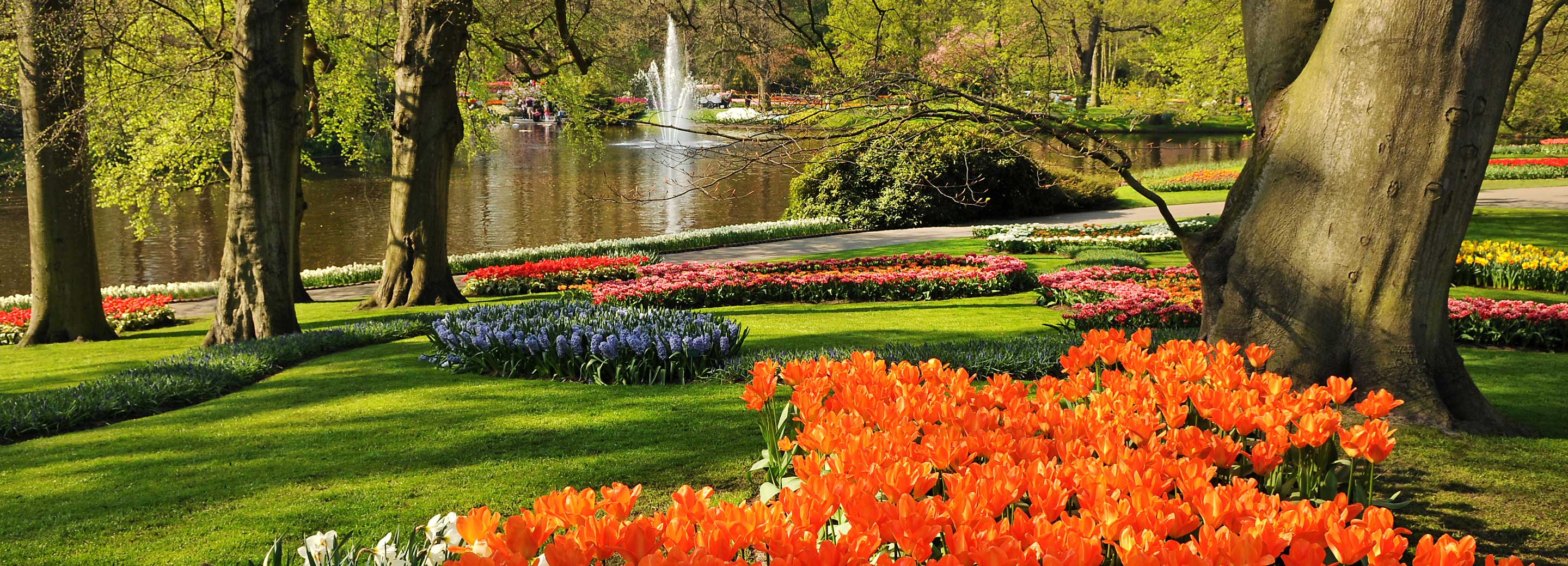 Keukenhof Gardens