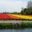 Don't miss the view from the lookout - the tulip fields in full bloom are simply amazing. - photo Barbara Cant