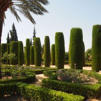 Alcazar de los Reyes Cristianos Gardens