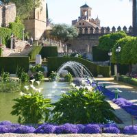 Alcazar de los Reyes Cristianos Gardens