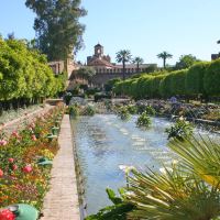 Alcazar de los Reyes Cristianos Gardens