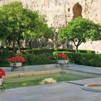 Alcazar de los Reyes Cristianos Gardens