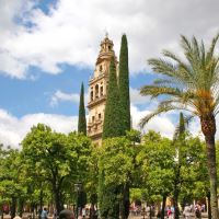 Alcazar de los Reyes Cristianos Gardens