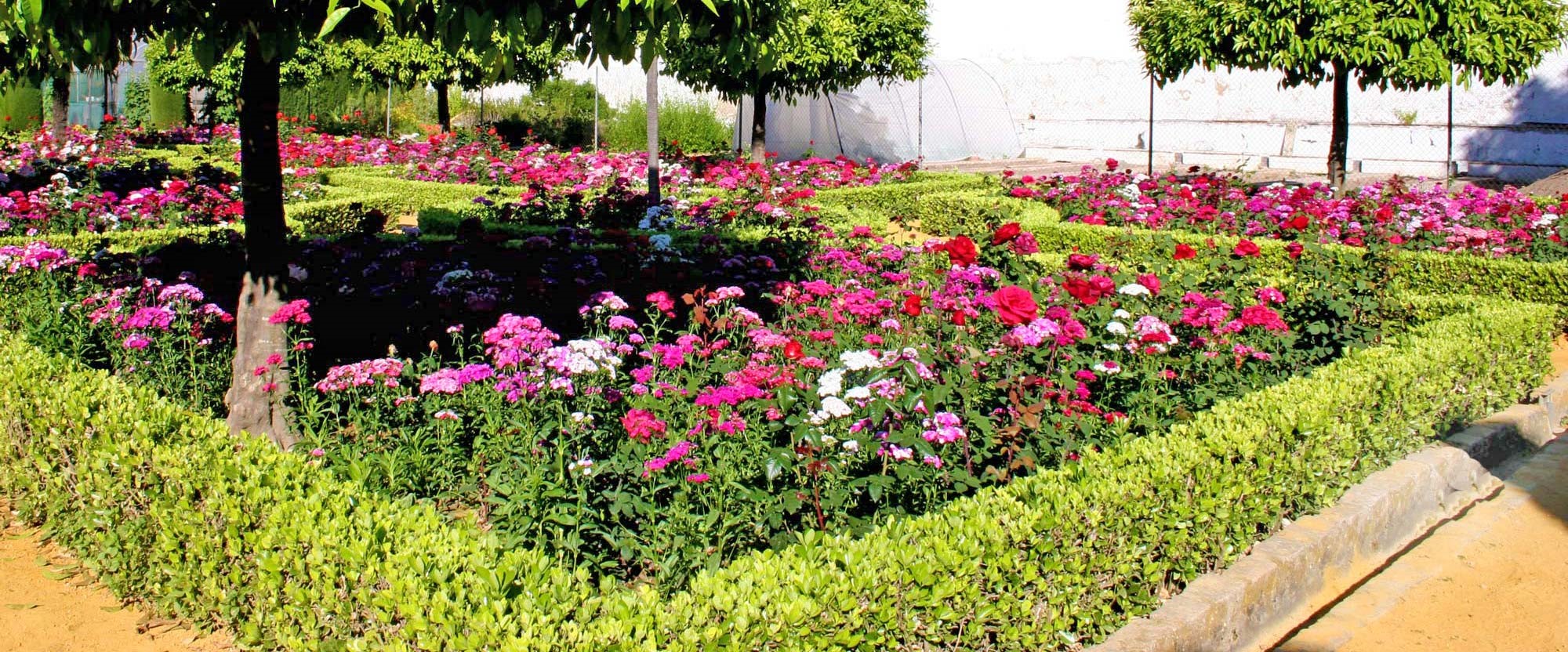 Cordoba Rose Garden