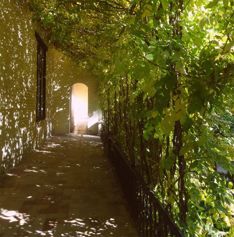  - and by contrast some quiet leafy walks- photos supplied by Turismo de Sevilla/Sevilla Tourism