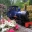 And a real working steam train - photo supplied by Exbury Gardens