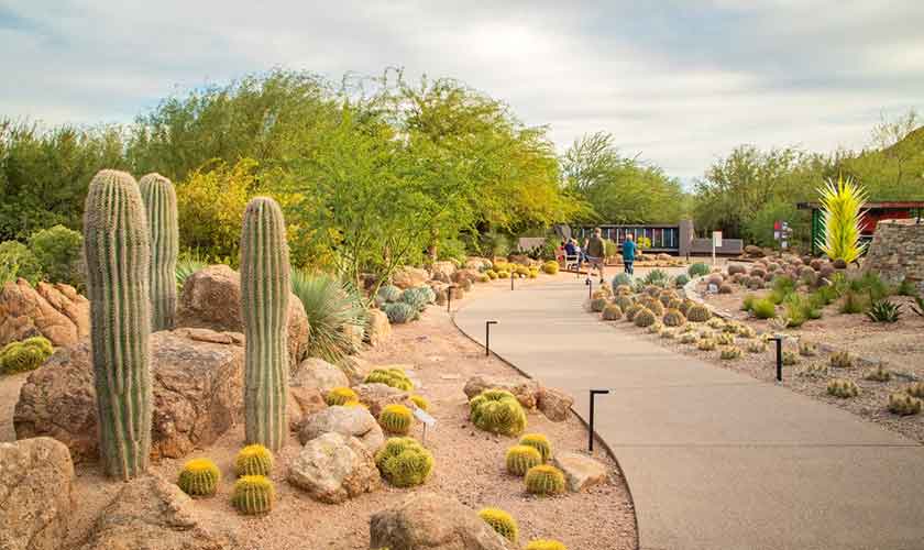 Desert Botanical Garden