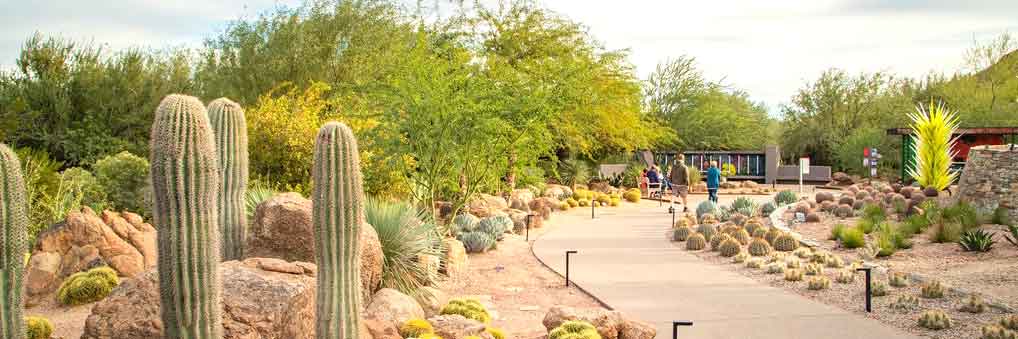 Desert Botanical Garden