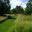 Sissinghurst Orchard and Wild Flower Meadow