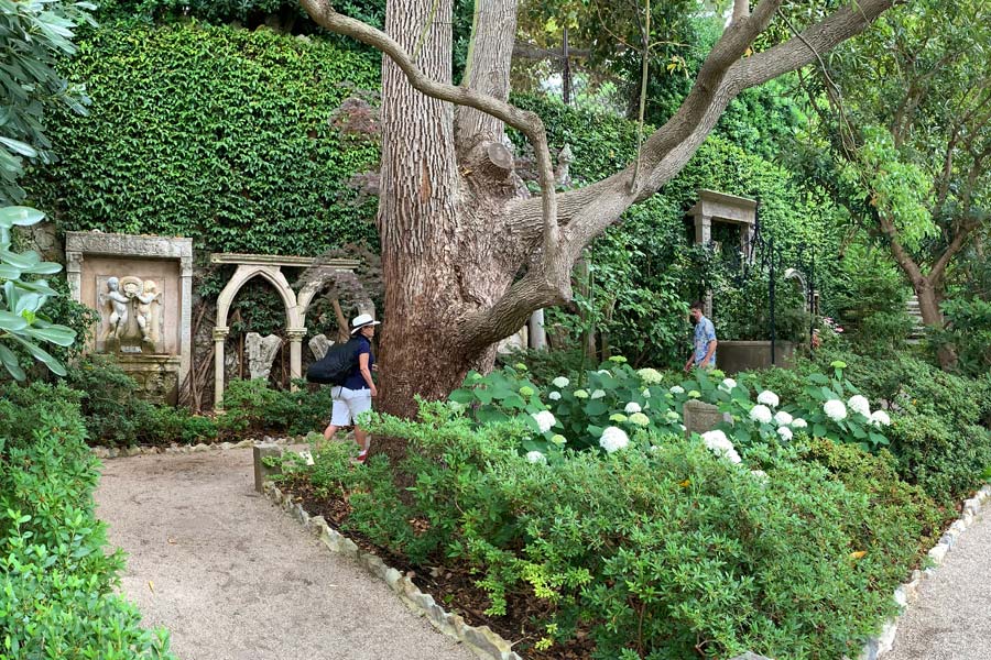 Stone Garden, Villa Ephrussi - summer white Hydrangea in flower.