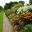 Mixed borders at Wisley